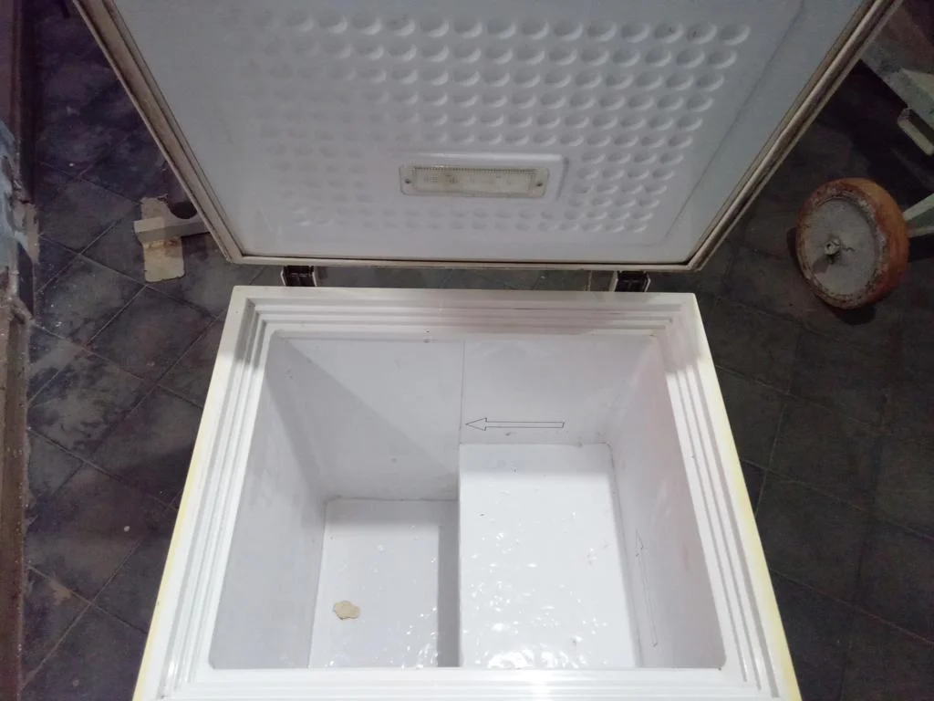 Foto 3 de Congeladora / Frezzer Marca Tokyo Litros 200 Modelo Cgtcon200 Usado Con Desgaste Acc No Tiene