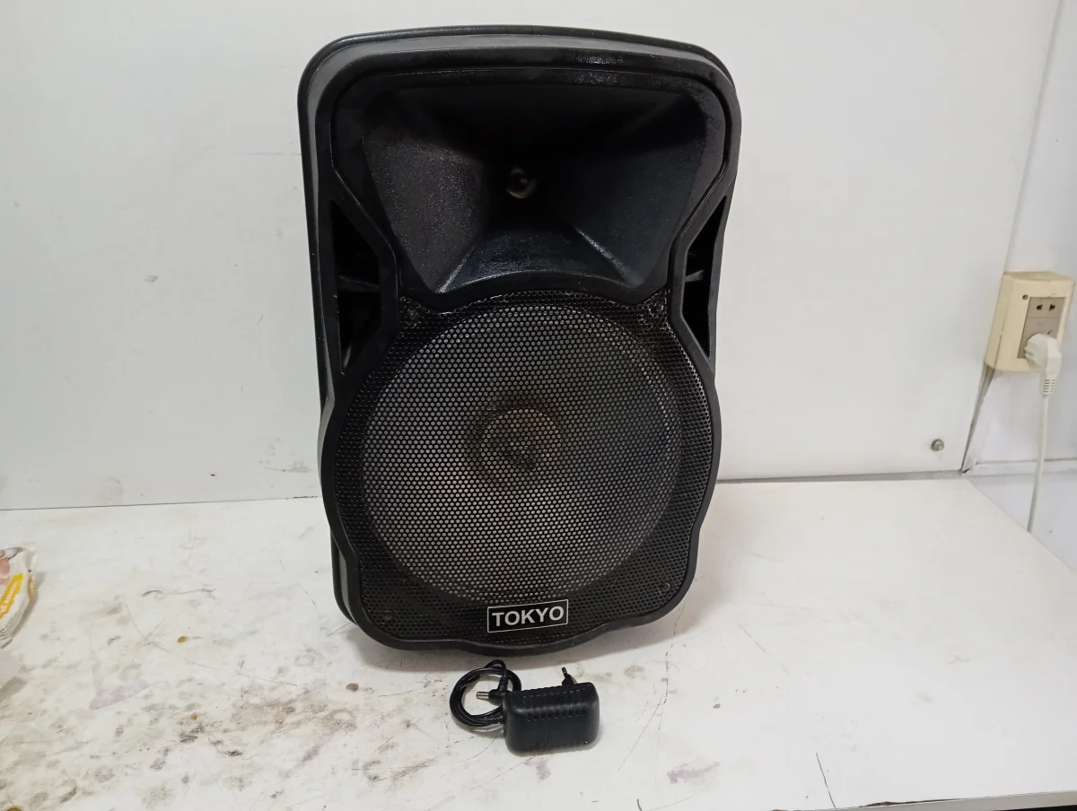 Caja De Sonido Amplificada Marca Tokyo Modelo Party 12 Sin Control Usado En Buen Estado Acc Cargador