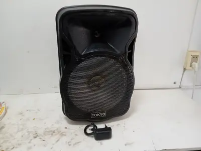 Caja De Sonido Amplificada Marca Tokyo Modelo Party 12 Sin Control Usado En Buen Estado Acc Cargador