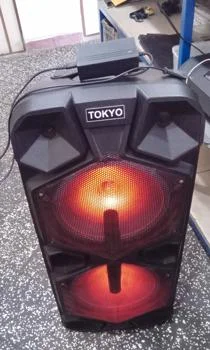 Foto 2 de Caja De Sonido Amplificada Marca Tokyo Modelo Elparty8000-N Sin Control Usado En Buen Estado Acc Con Par De RueditasCargador