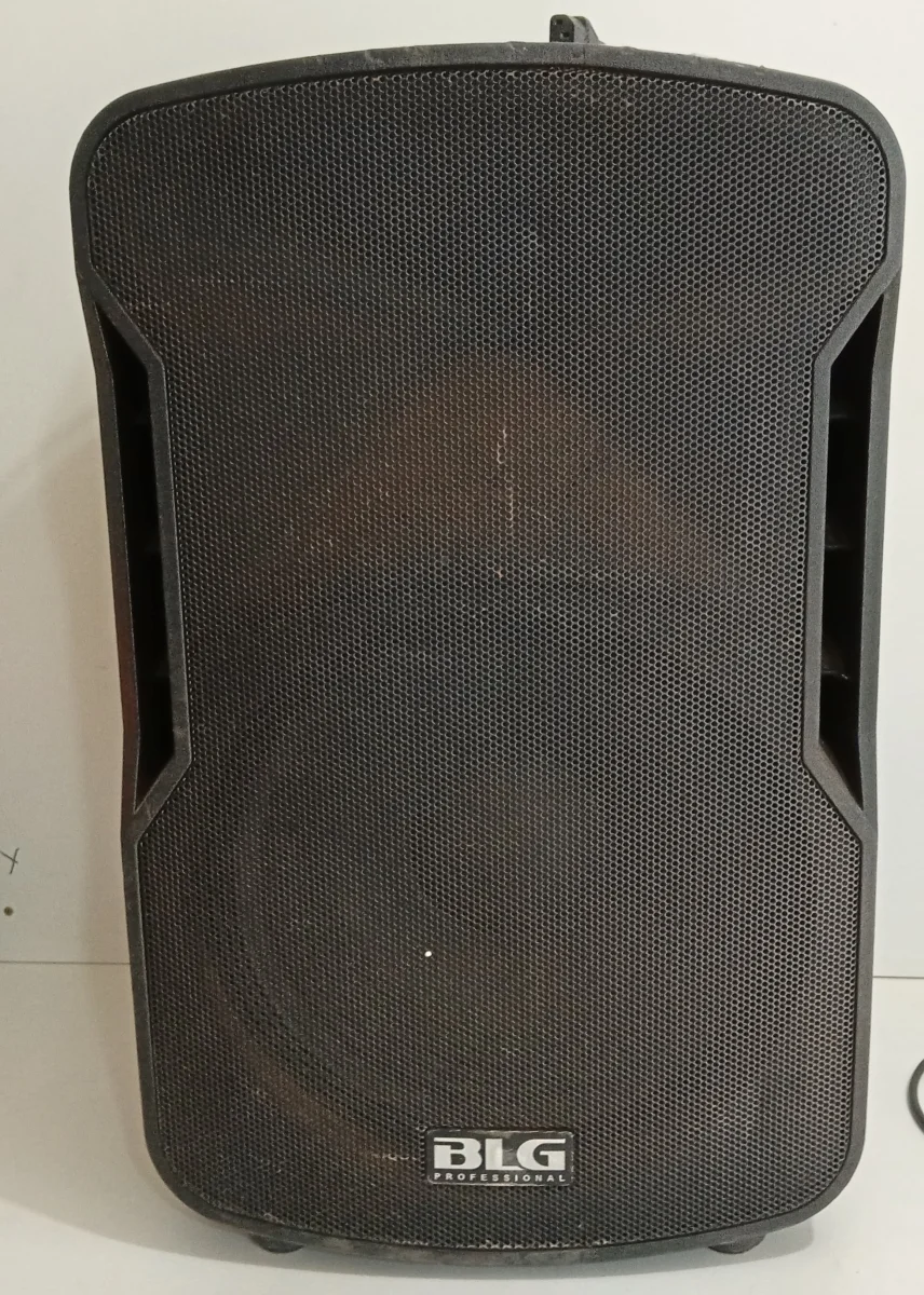 Caja Con Parlante Para Discoteca Marca Blg Modelo Professional Usado En Buen Estado Con No Tiene De 15 '' Acc Cab. Power