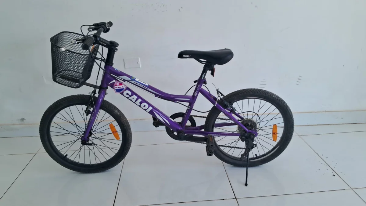 Bicicleta Marca Caloi Aro 20 Modelo California Usado En Buen Estado Acc Cambios ShimanoCanasto Delantero