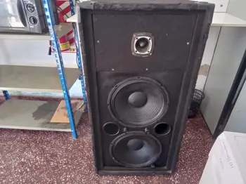 Caja Con Parlante Para Discoteca Marca Sin Modelo M312 Usado En Buen Estado Con 2 Parlantes De 15 Pulgadas 1 Selenium El Otro Roasdtar1 Twister Shanshonic