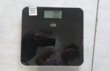 Balanza Marca Gama Modelo Hcg-2110qm Usado En Buen Estado Acc Minimo 2klsMaximo 150kls