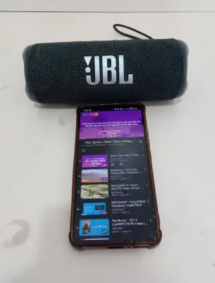 Parlante Portatil Marca Jbl Modelo Flip 6 Usado En Buen Estado Con Cinta Colgante Acc No Tiene