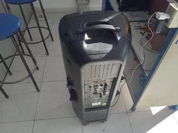 Caja De Sonido Amplificada Marca Tokyo Modelo Elparty8000 Sin Control Usado Con Desgaste Acc Cargador Y Micrófono