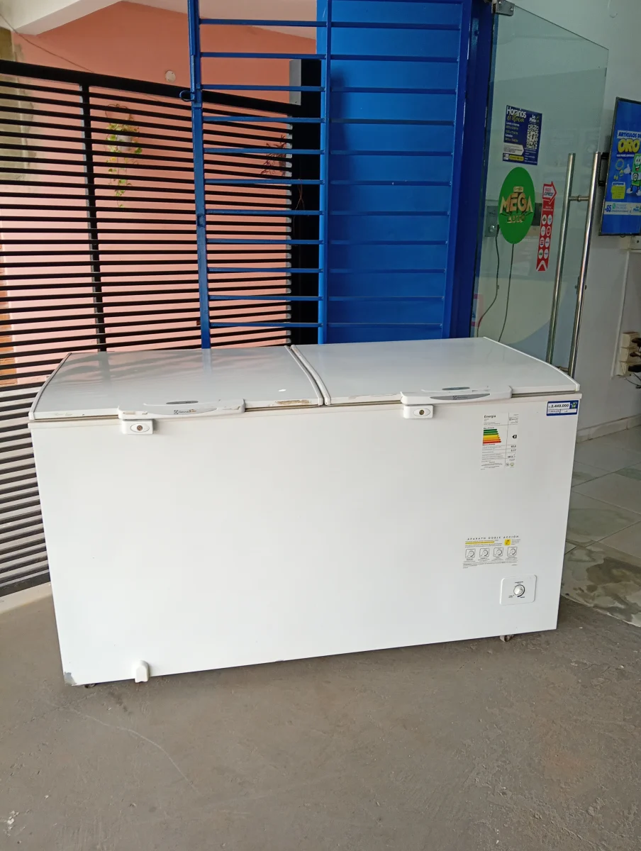 Congeladora / Frezzer Marca Electrolux Litros 550 Modelo H550 Usado En Buen Estado Acc Canasta