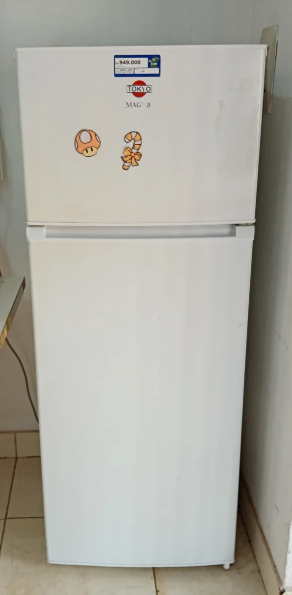 Heladera Marca Tokyo Modelo Hetokmmagna Usado En Buen Estado Litros 207 Acc Congelador Con Una ParrillaAbajo Con 3 ParrillasVerdulera3 Porta Vasos
